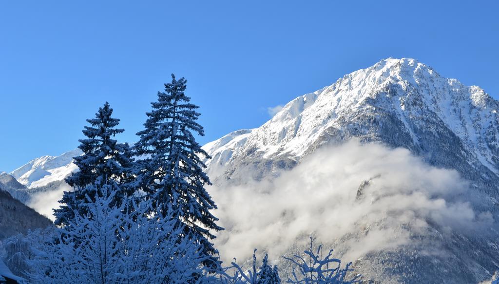 Auberge La Douce Montagne Allemont Exteriör bild