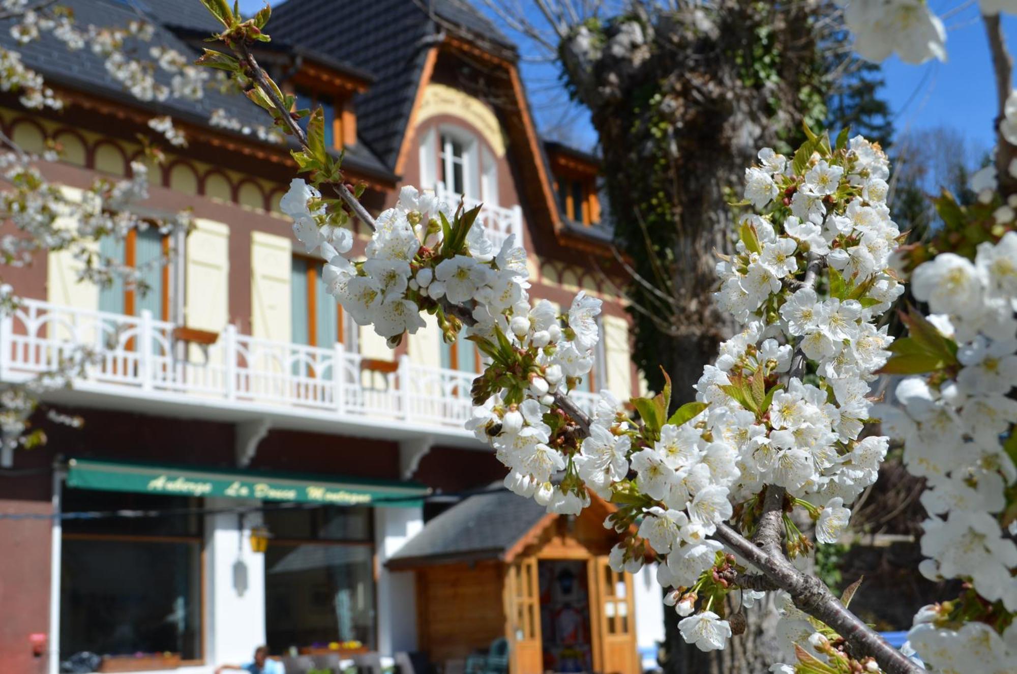 Auberge La Douce Montagne Allemont Exteriör bild
